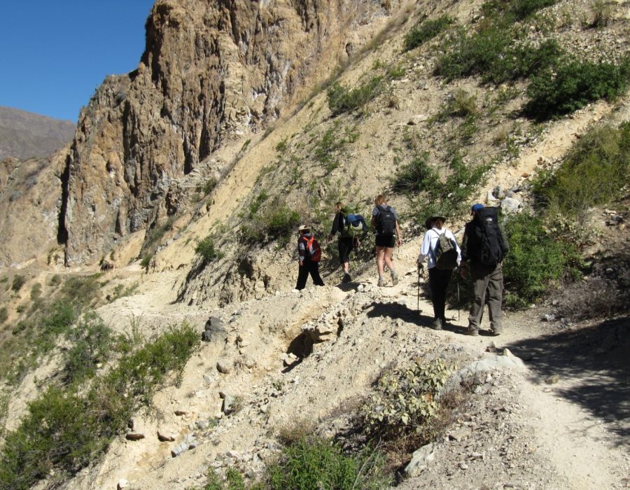 COLCA TRECK (Grande)