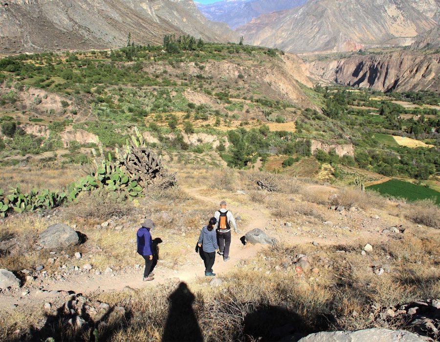 TRECK-COLCA--2