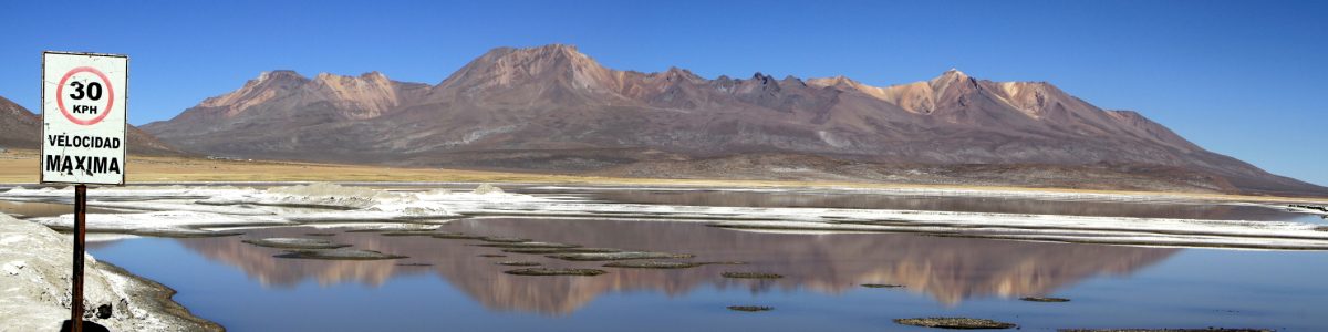 salinas 1